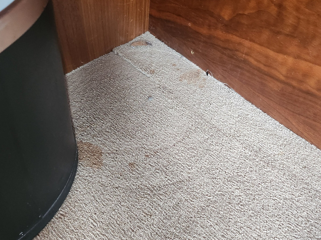 巴利罗宾乡村旅馆主图