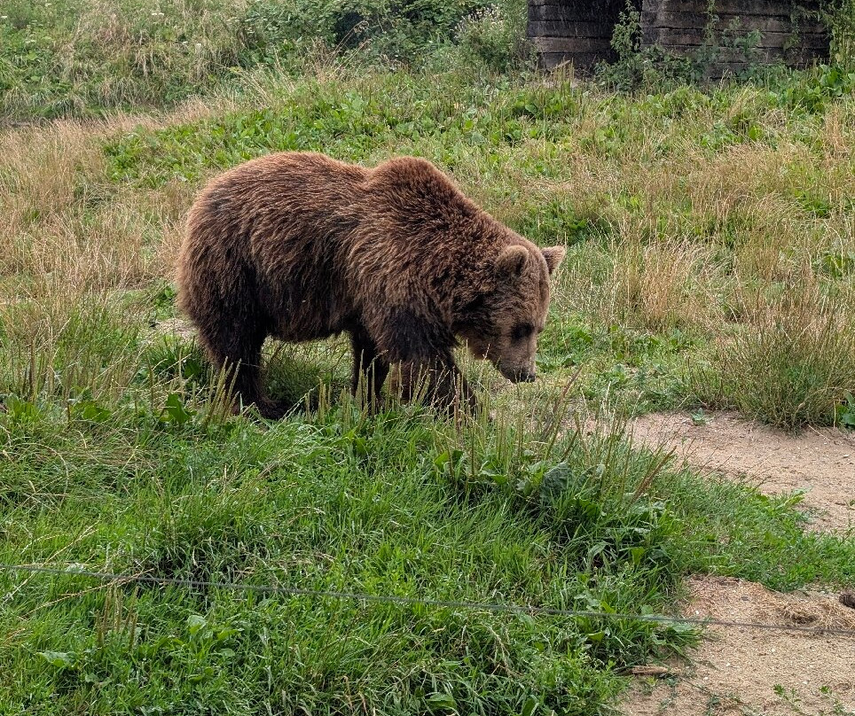Landgoed Hoenderdaell-Anna Paulowna必去景点