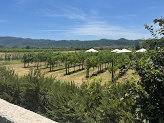 Karaman Winery-Konavle必去景点