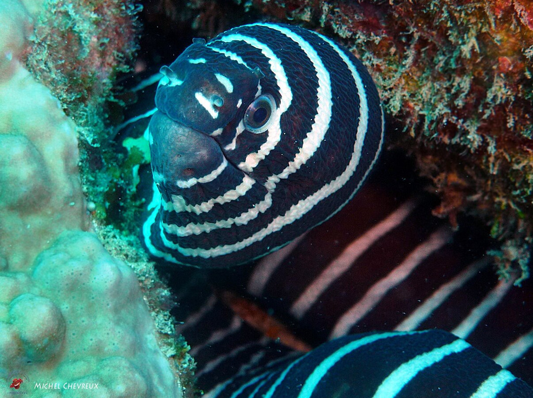 Exploration Sous-Marine-弗力克昂弗雷克必去景点