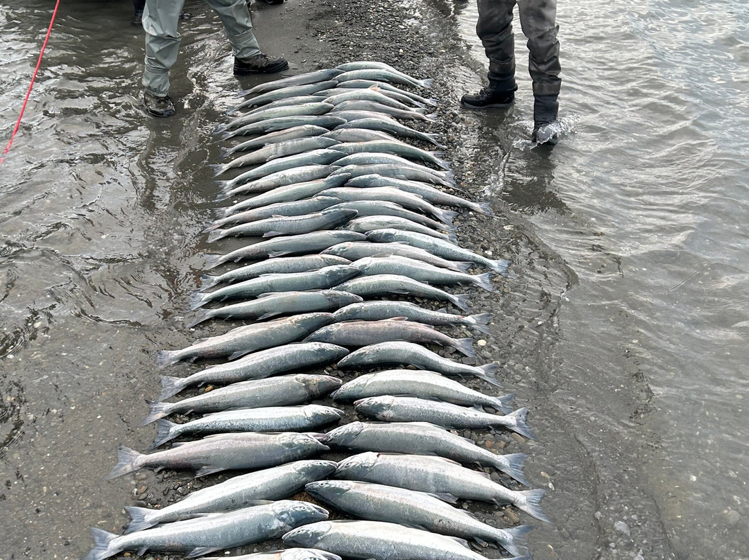 EZ Limit Guide Service-索尔多特纳必去景点