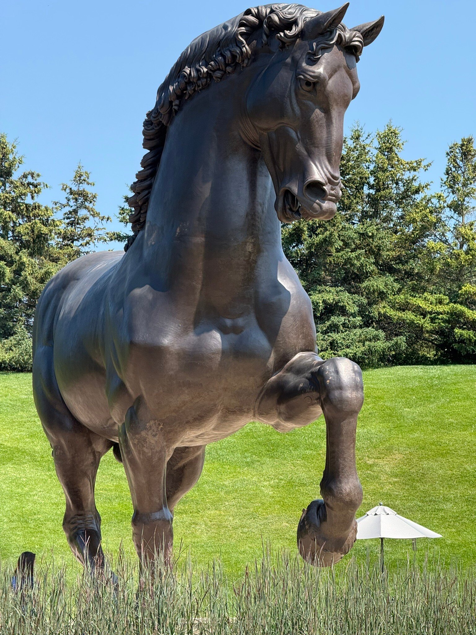 Best Western Hospitality Hotel & Suites-官方