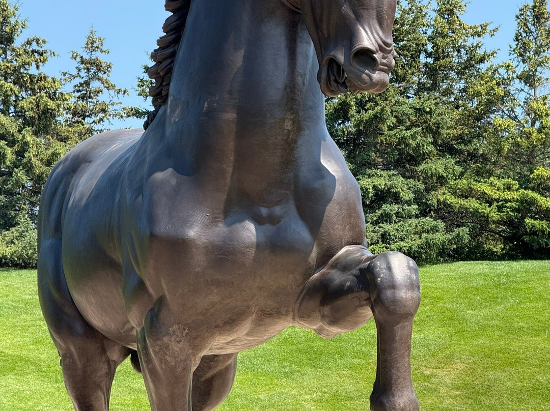 Best Western Hospitality Hotel & Suites主图