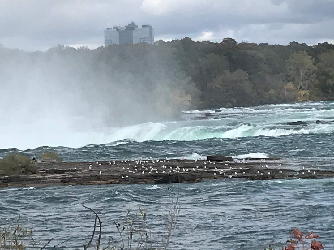 WEGO-尼亚加拉大瀑布必去景点