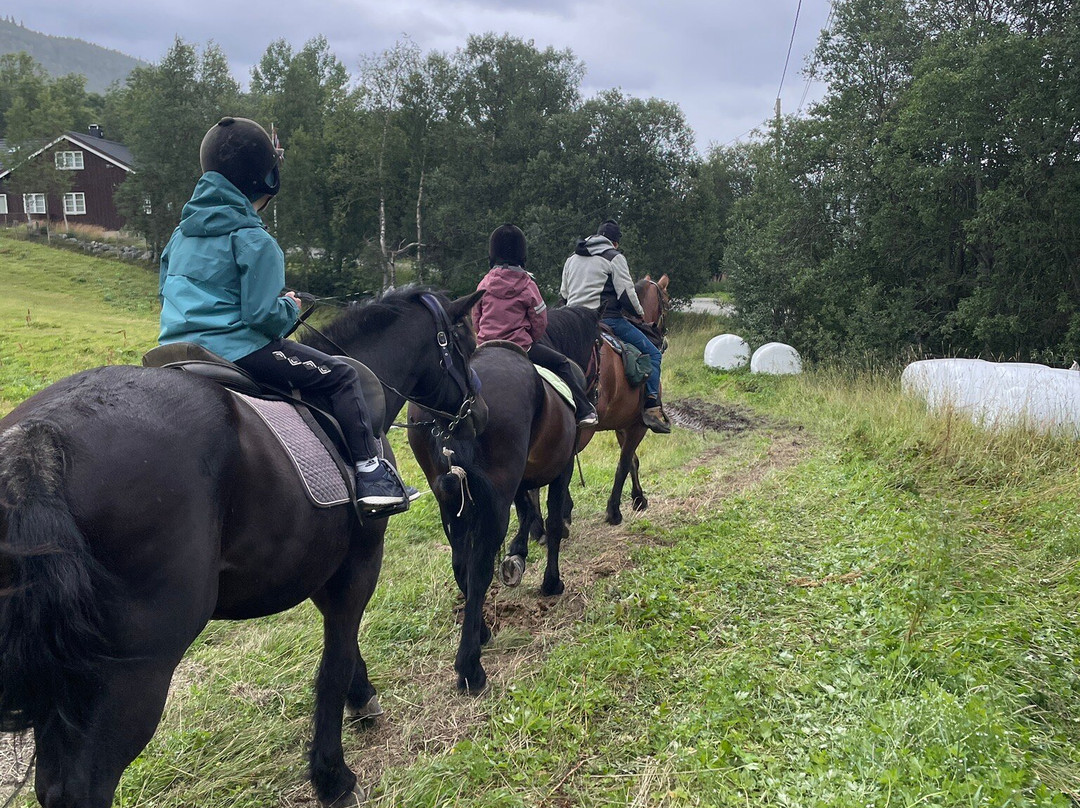 Geilo Activity Center-耶卢必去景点