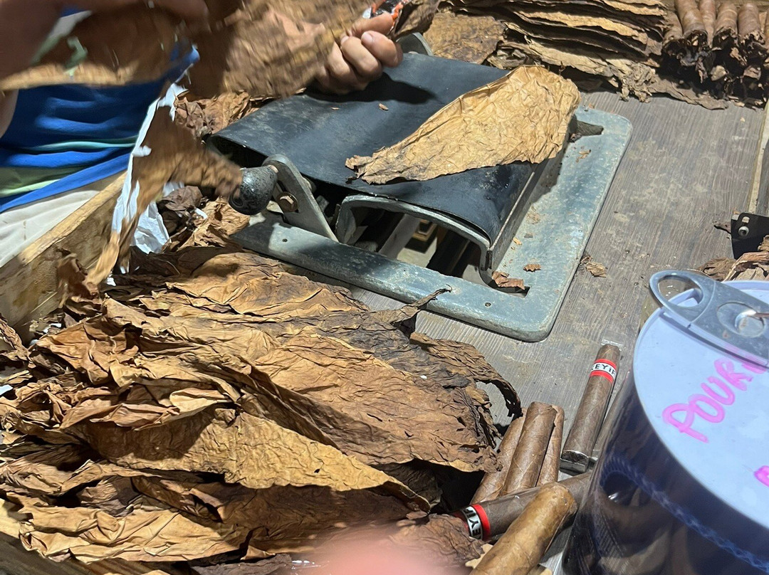 Zemis Tobacco and Cigars Factory-圣地亚哥必去景点