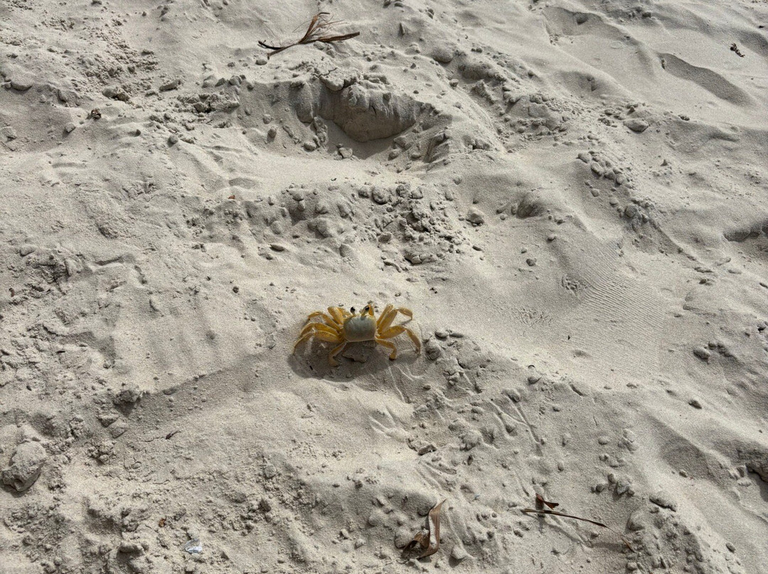 Praia Dos Milionarios-Ilheus必去景点