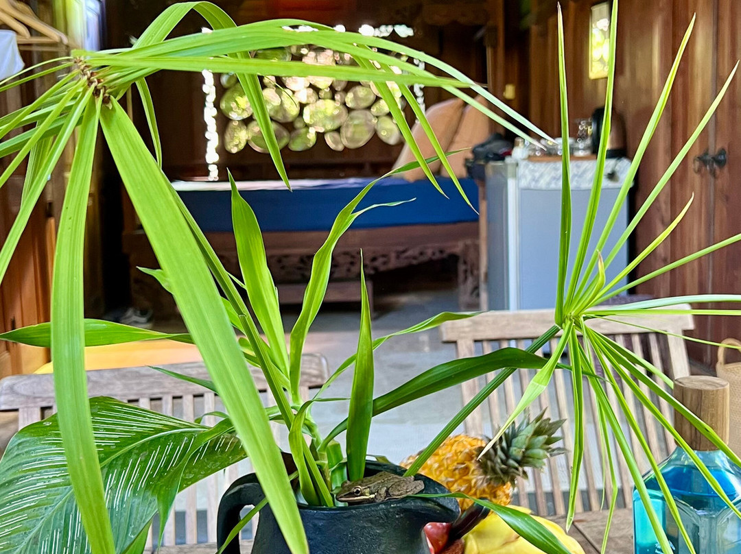 Yabbiekayu Eco-Bungalows主图