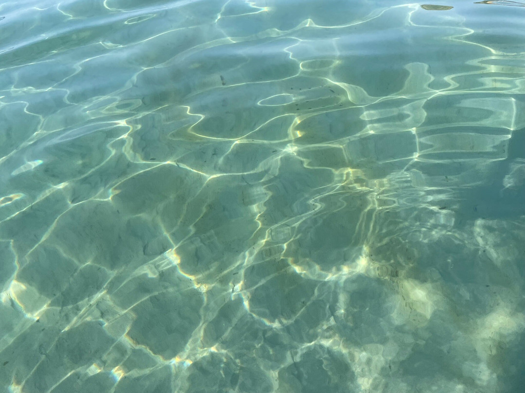 Platja De Sant Elm-Andratx必去景点