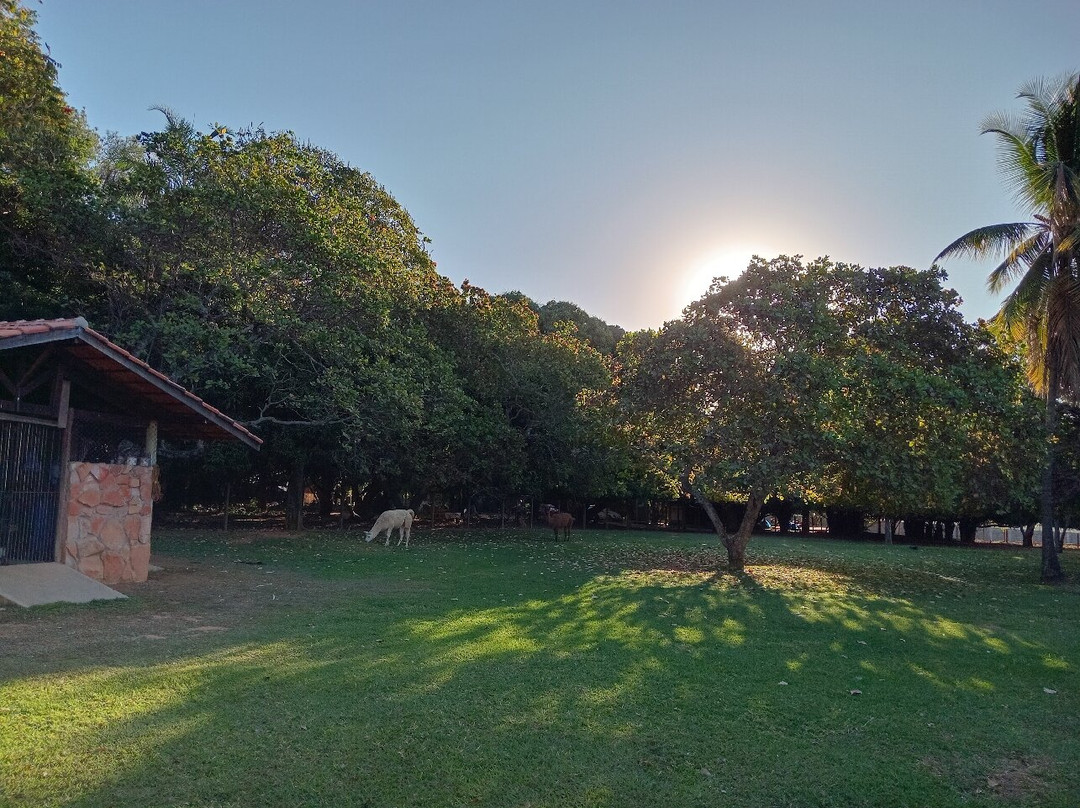 Jardim Japonês-Caldas Novas必去景点