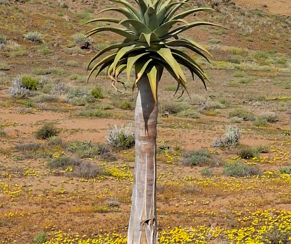 里希特斯韦特国家公园-北开普省必去景点