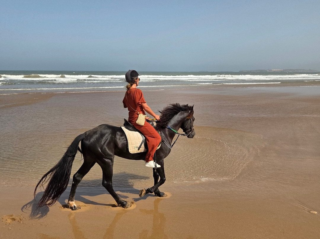 Ranch Aftass-索维拉必去景点