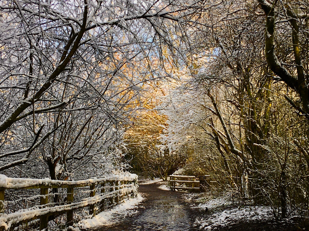 Orrell Water Park-Orrell必去景点