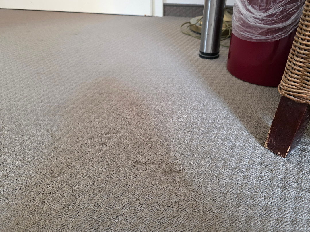 Wyndham Garden Quedlinburg Stadtschloss主图