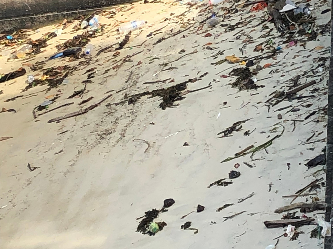 Lazarus Island-新加坡必去景点