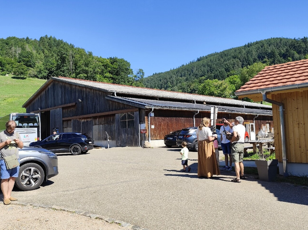 Ferme du Versant du Soleil-Hohrod必去景点