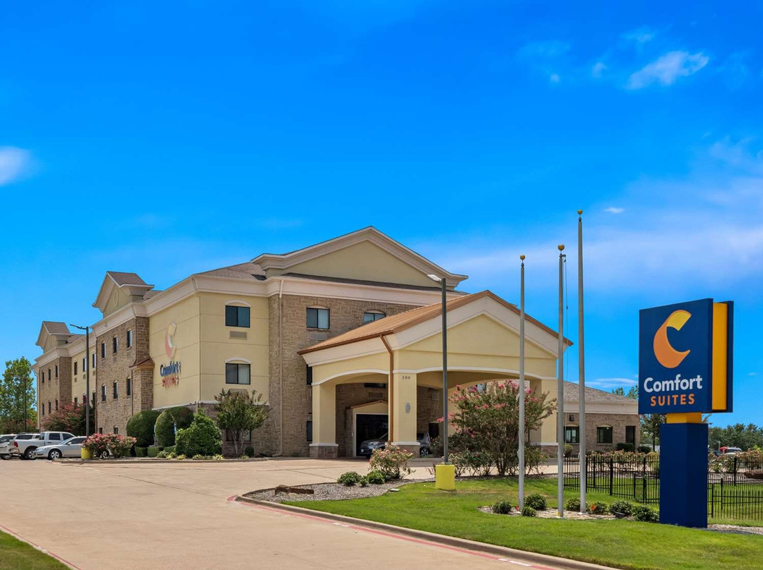 Mineola酒店住宿-Comfort Suites Lindale - Tyler North