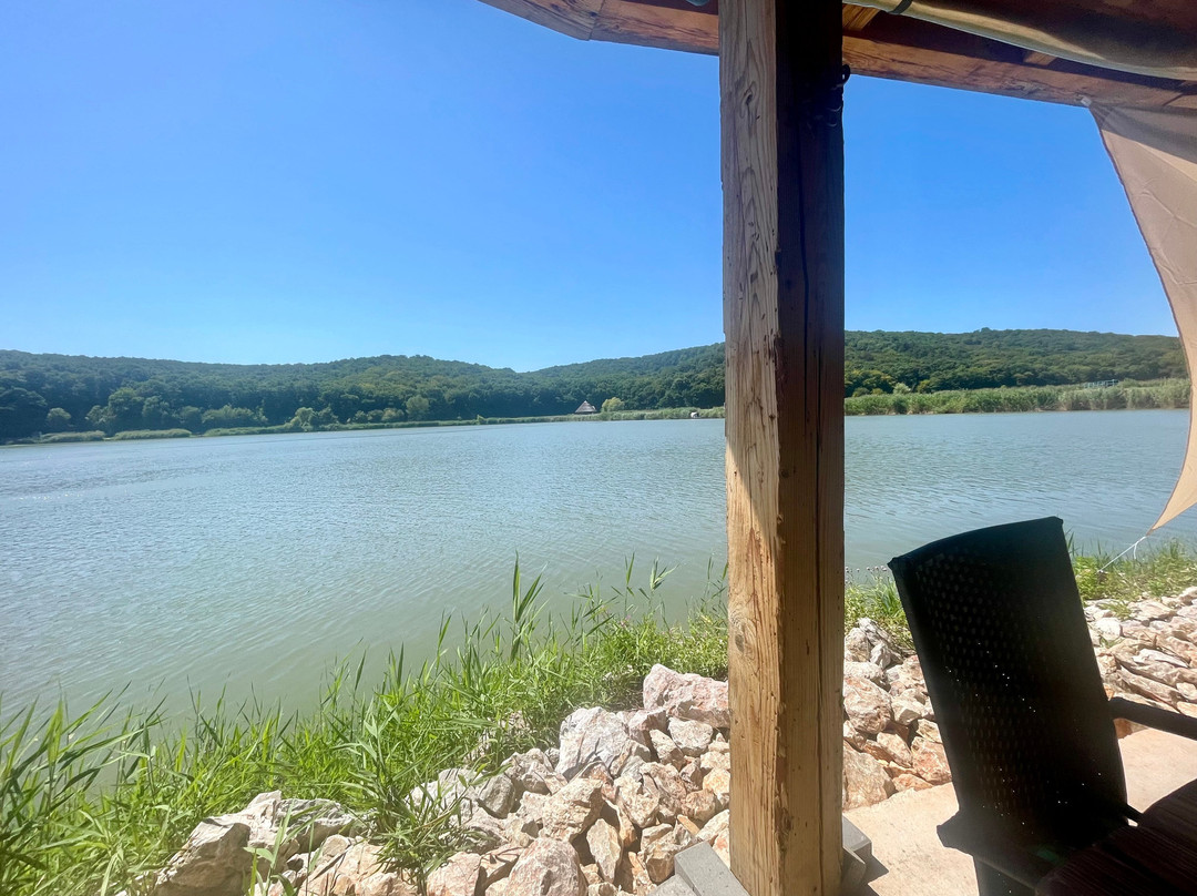 Harcsafészek Falatozó Harsány