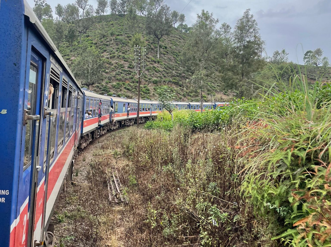 Elgant Island Tours-Katana必去景点