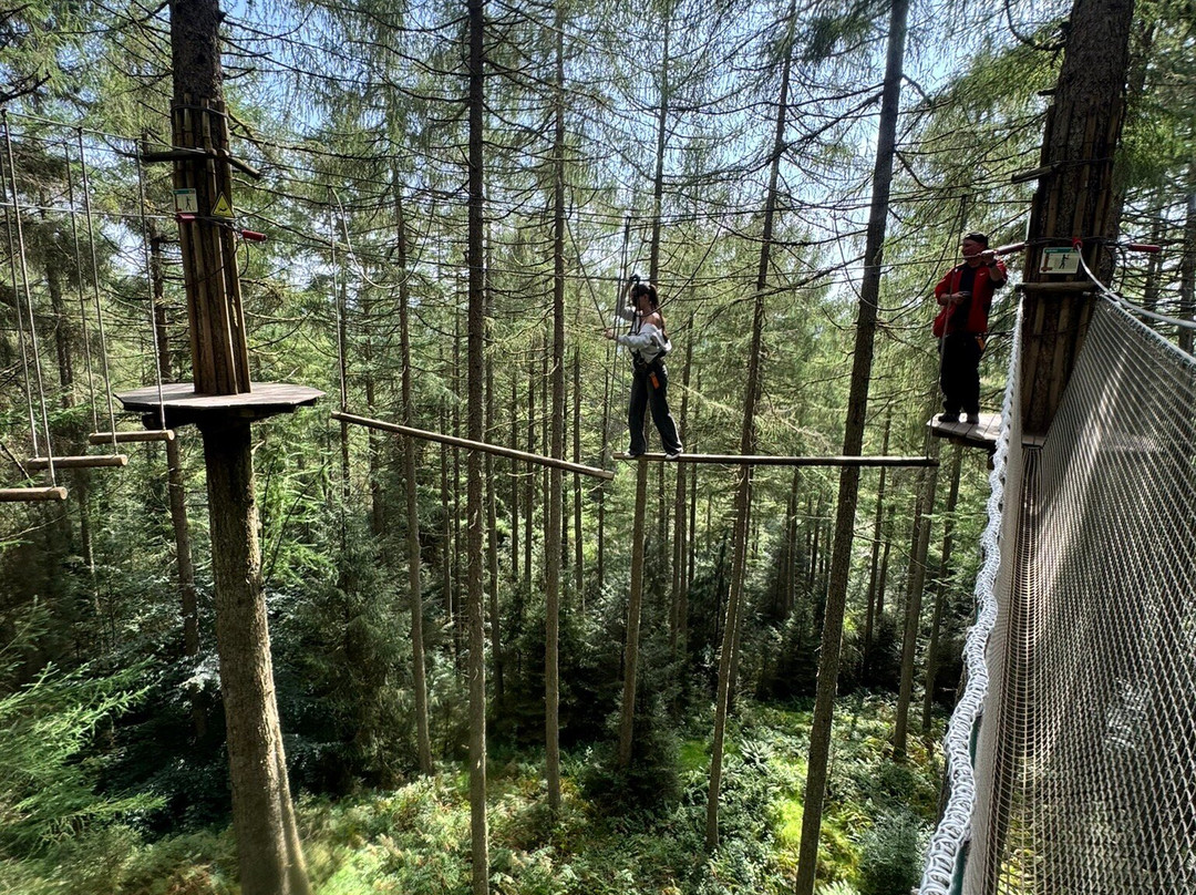 Go Ape-Aberfoyle必去景点