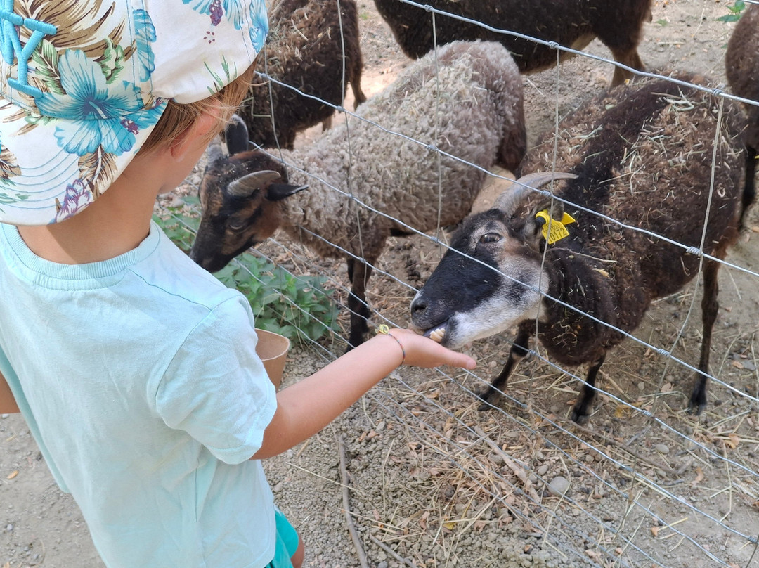 La Ferme Du Facteur Enchantée-Hauterives必去景点