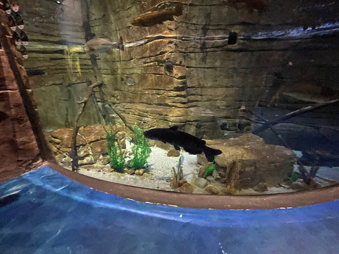 Living Shores Aquarium