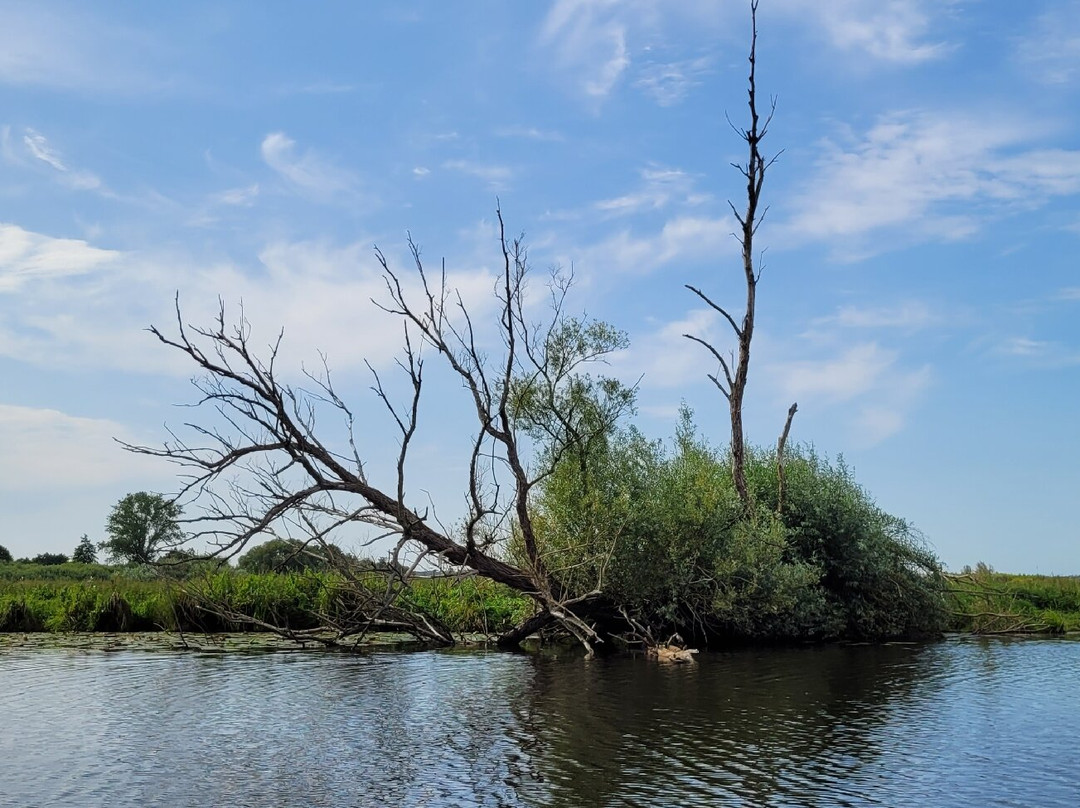 Adolphsdorfer Torfschiffer