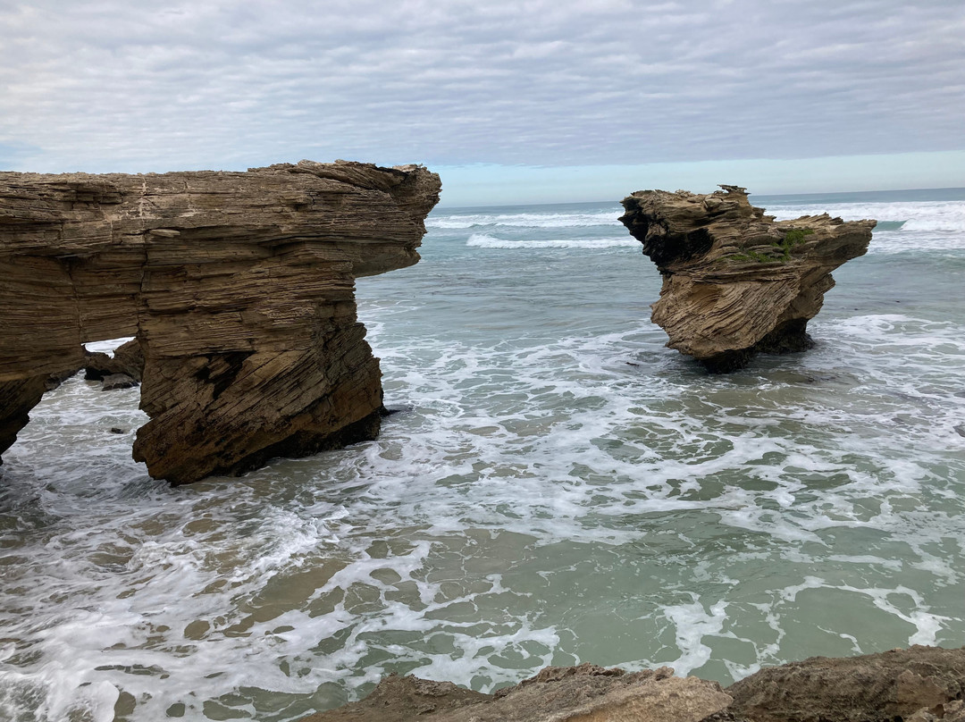 Stillwater Paddleboards-海滩港必去景点