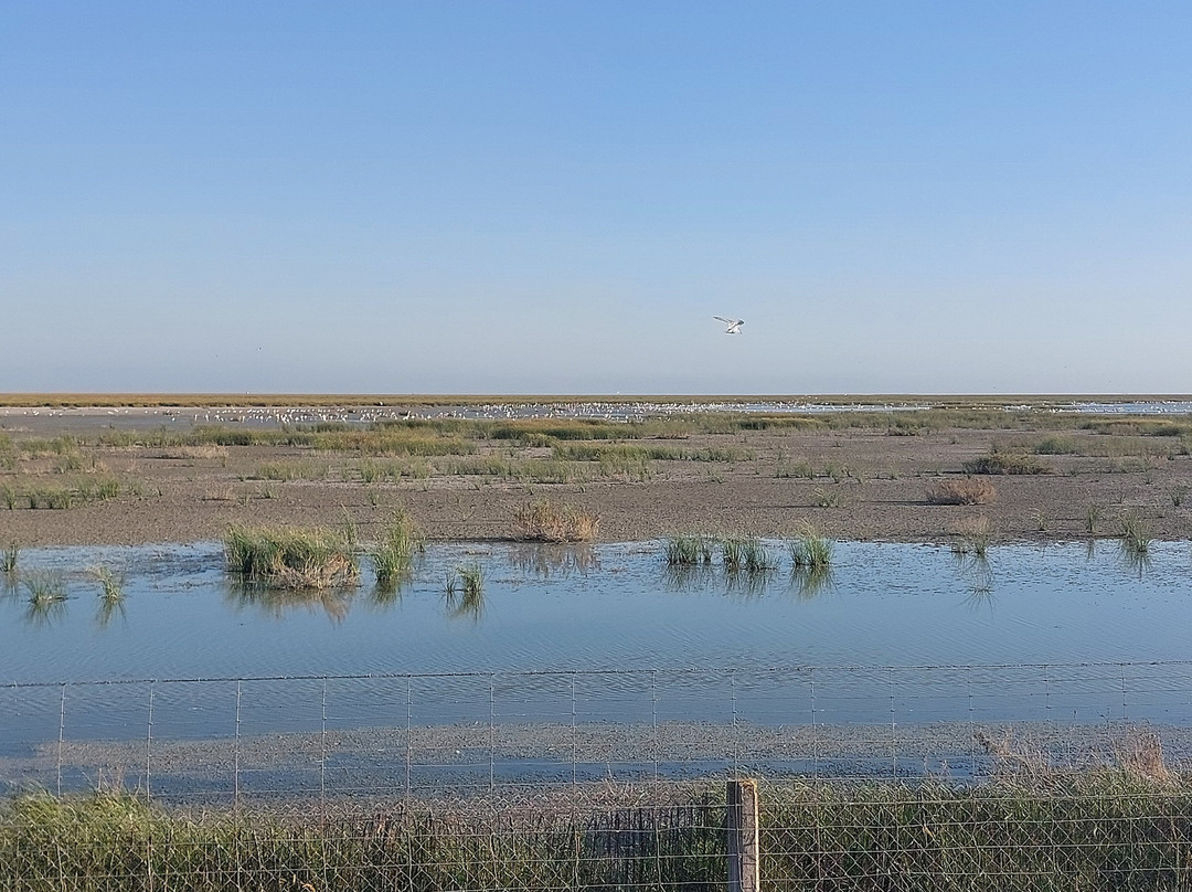 Donana Reservas y Visitas-El Rocio必去景点