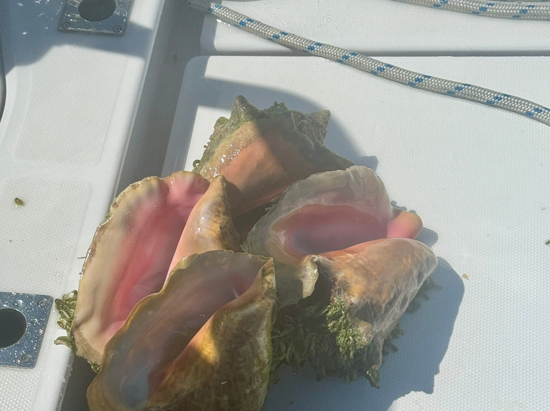 Okeanos Charters-格雷斯湾必去景点