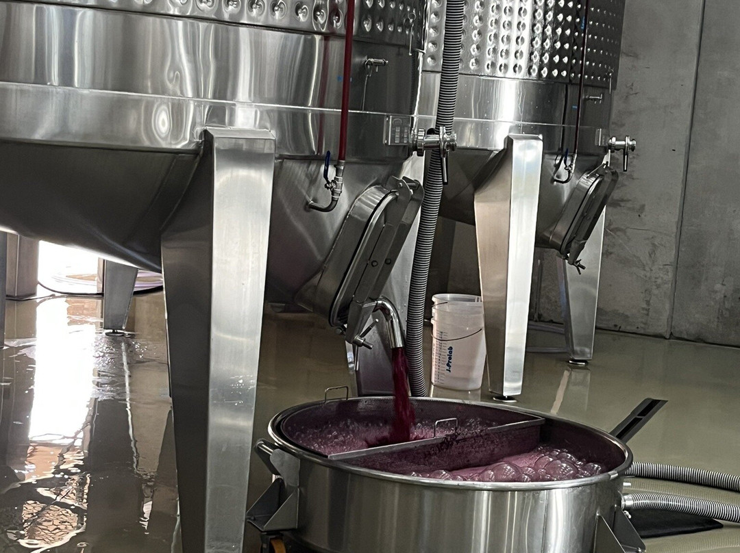 Vinícola Uvva-Mucuge必去景点