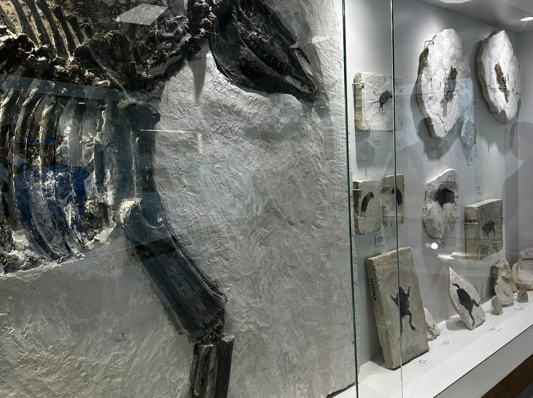 Le Muséum de l’Ardèche-Balazuc必去景点