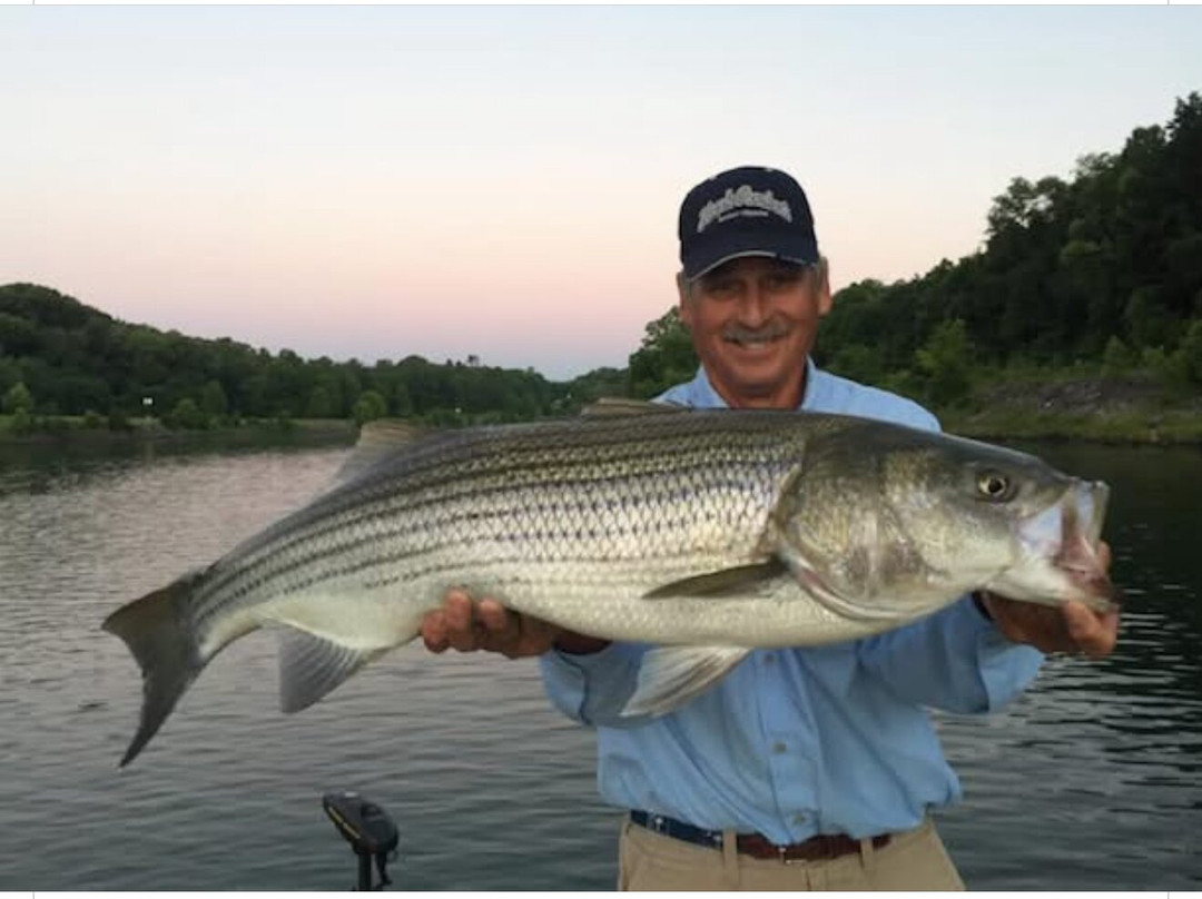Fishing with Bo-勒努瓦市必去景点