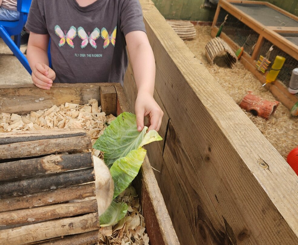 Down at the Farm-Houghton-le-Spring必去景点