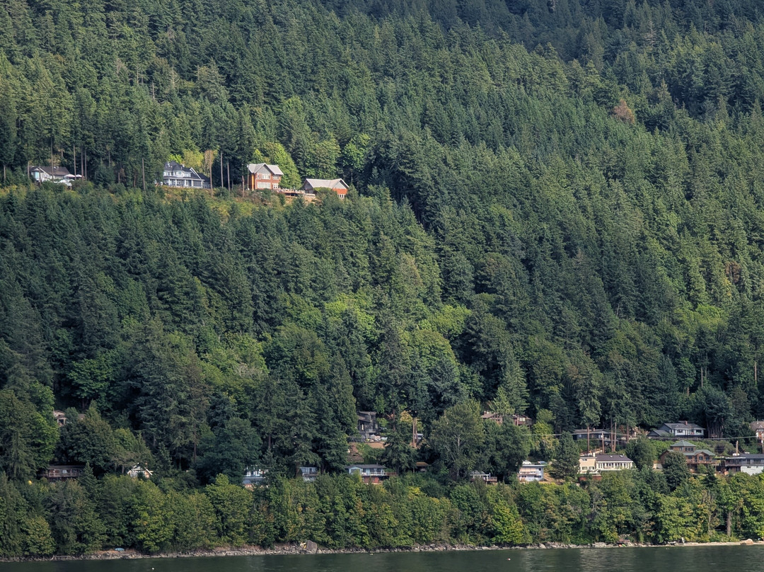 Gato Verde Adventure Sailing-贝灵厄姆必去景点