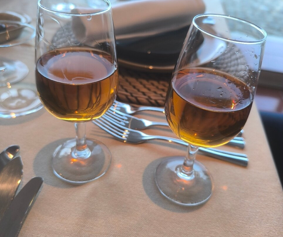 Eco Salvador Hotel主图