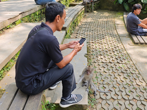 Sunia Bali Tour-登巴萨必去景点