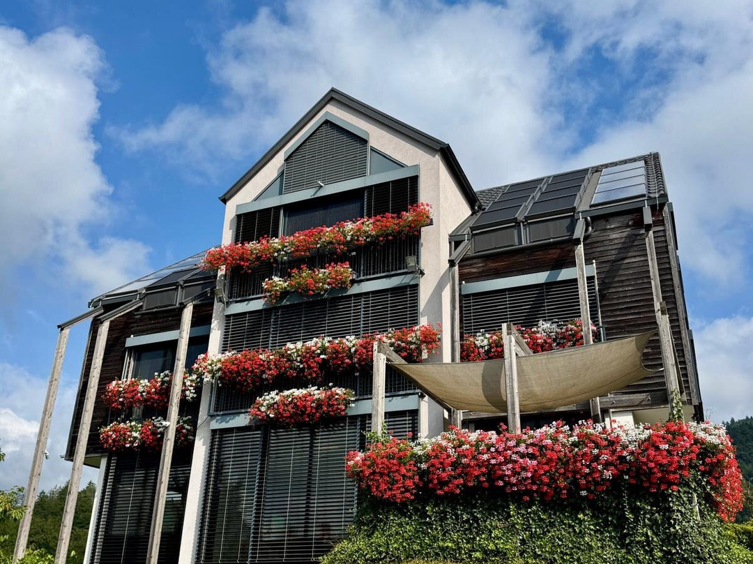 ECO Boutique Hotel AMS Beagle主图
