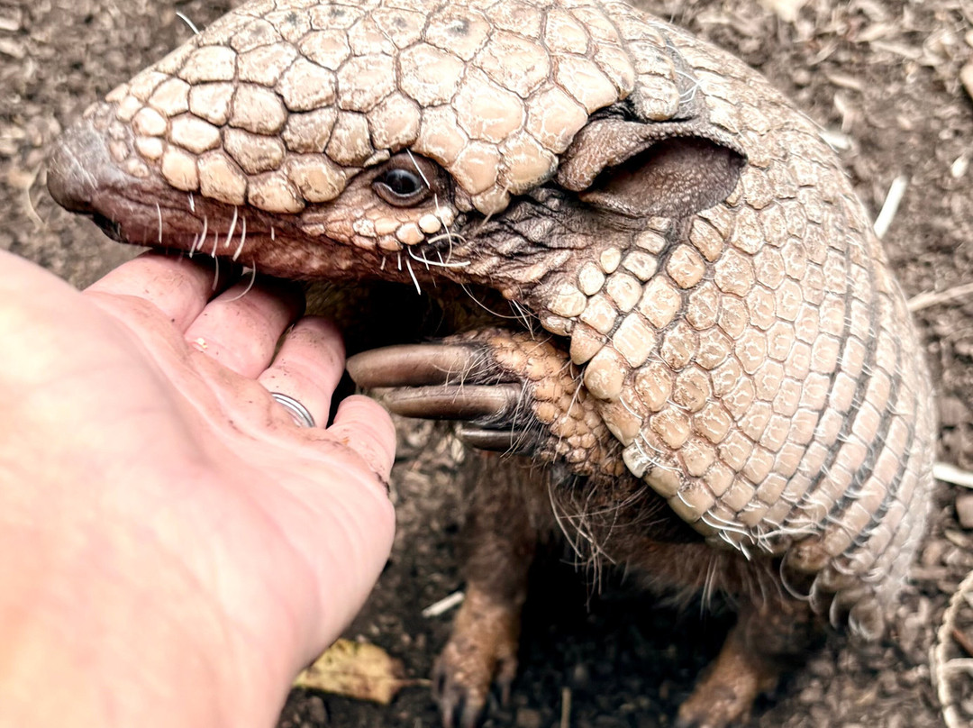 Exotic Zoo Wildlife Park + Natural History & Dino Museum-特尔福德必去景点