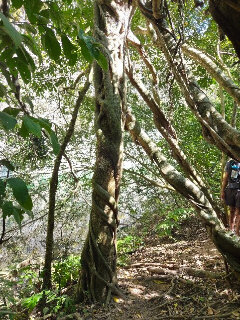 Cânion Do Rio Salobra-Bodoquena必去景点