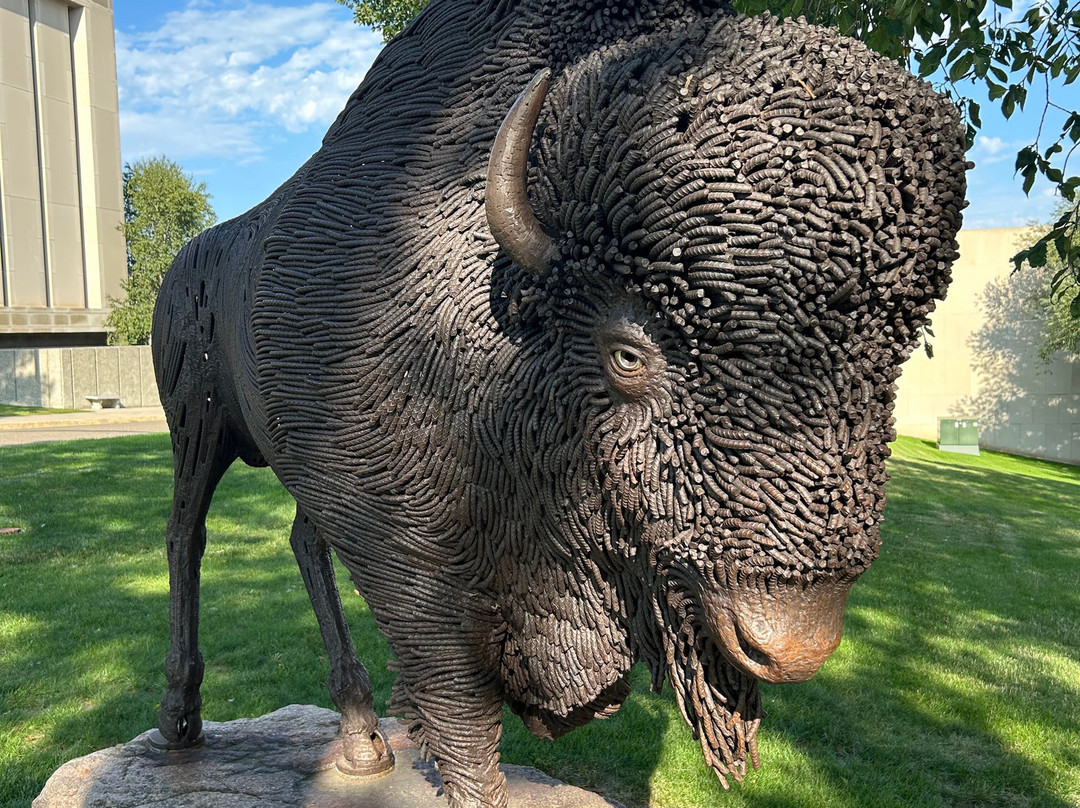 Buffalo Statue-俾斯麦必去景点