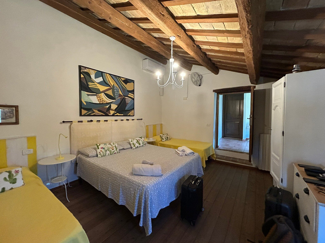 Il Gallo del Vicino Bed & Breakfast主图