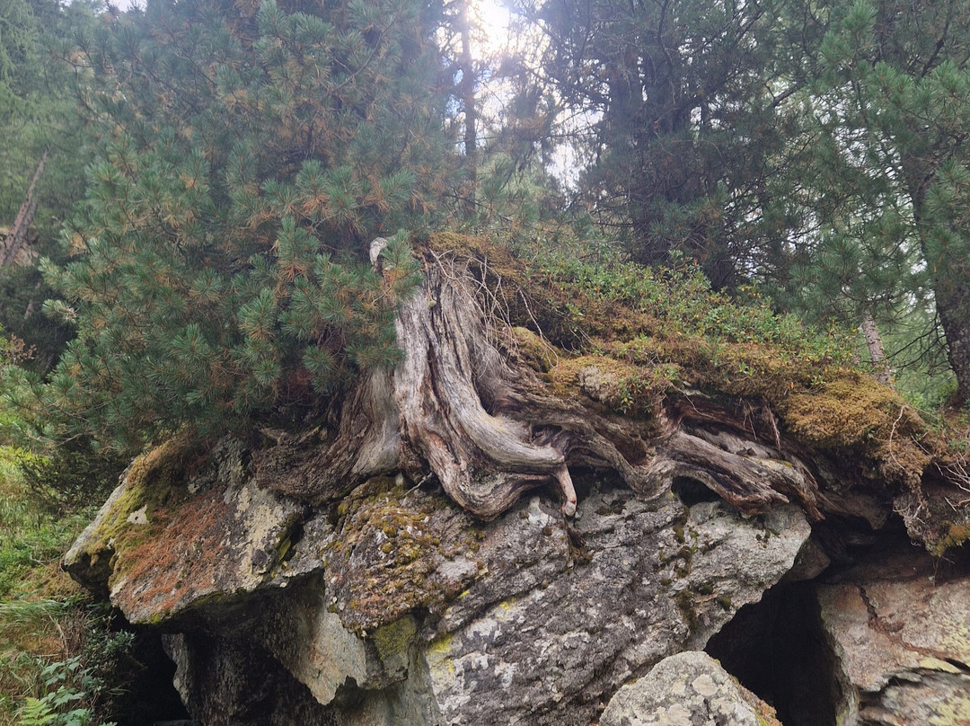 Lago di Fontana Bianca-Ultimo必去景点