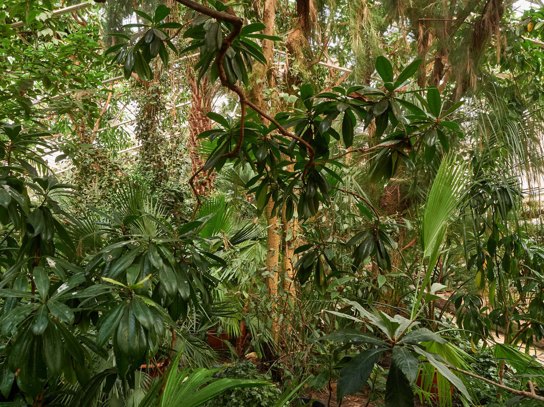 Ufa Botanical Garden-乌法必去景点
