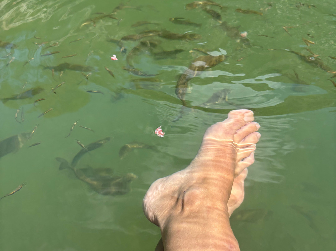 Les Olles-Bot必去景点