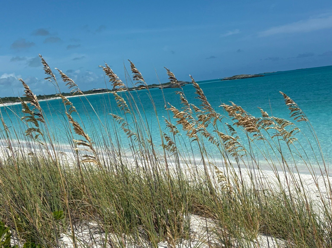 Tropic of Cancer Beach-Moore Hill必去景点