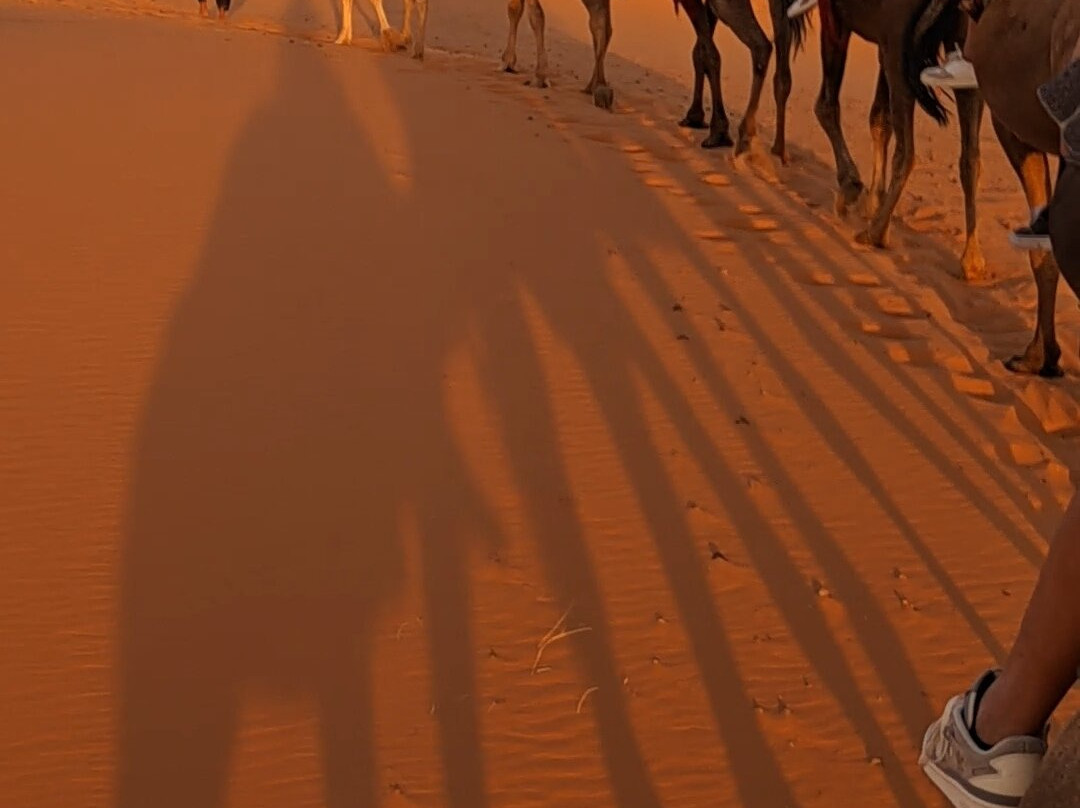 Sahara Bedouins-迈哈米德必去景点