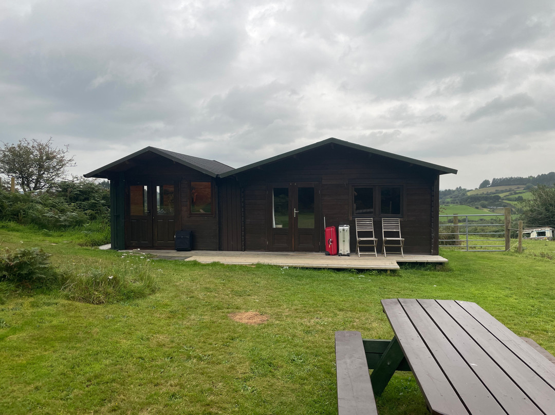 Waterfall Alpaca Farm-Drimoleague必去景点