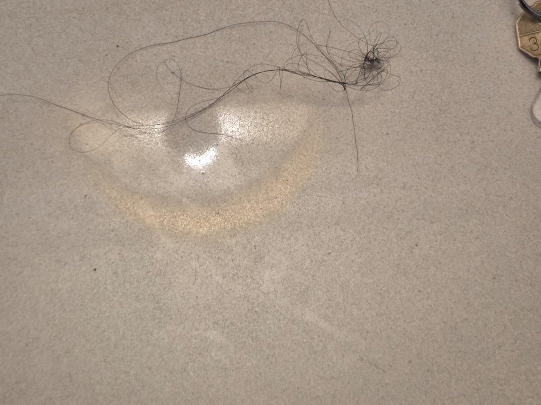 Seasons Netanya Hotel主图