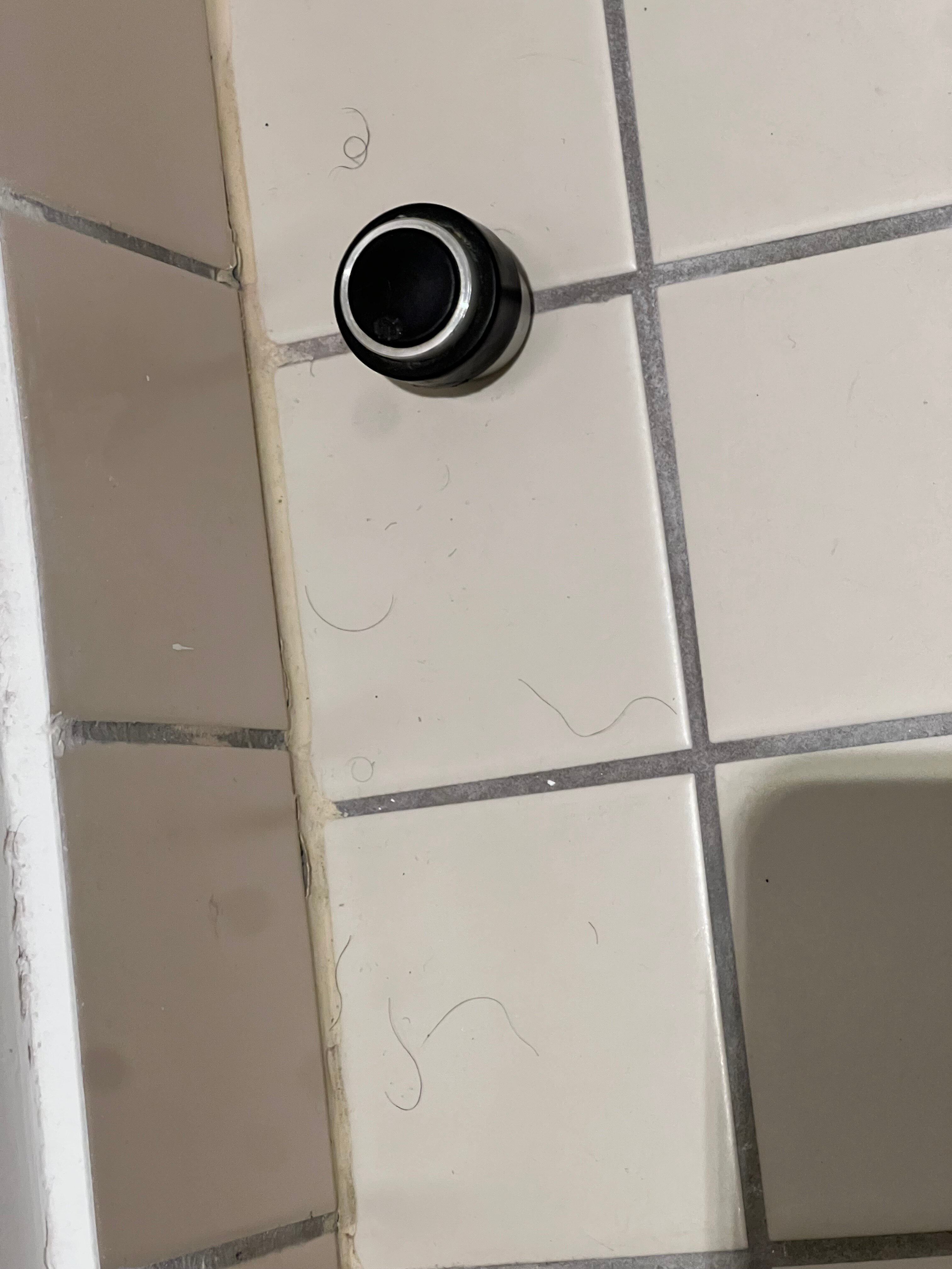 拉迪森布鲁酒店-官方